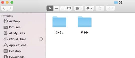Folder for each type of file type imported into Lightroom in the month folder