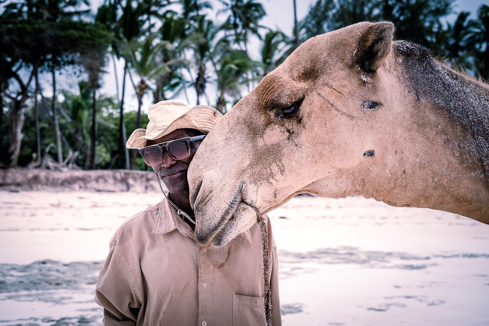 A man and his camels ~ finding connection to your subjects on the beach in Diani Beach, Kenya